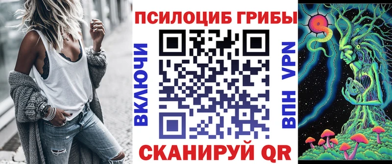 Псилоцибиновые грибы прущие грибы  купить закладку  гидра маркетплейс  Алзамай 